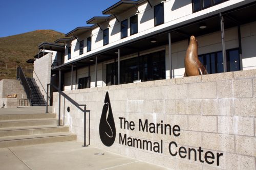 the marine mammal center in marin headlands, california