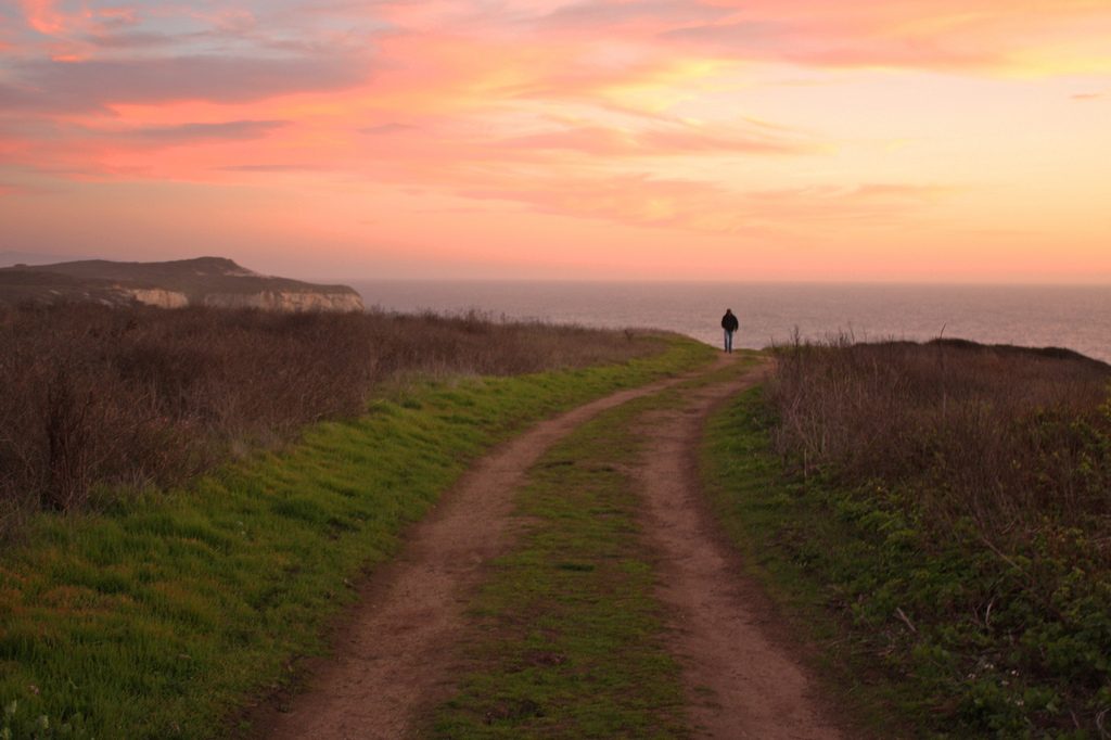 Santa Cruz Boardwalk and Dinner in Pescadero