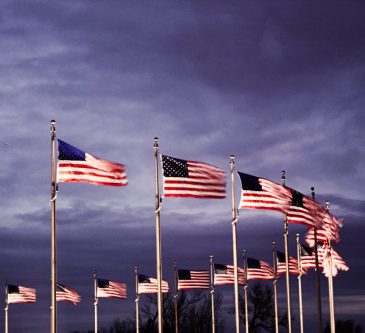american flags at dusk around the washington monument -- washington, dc