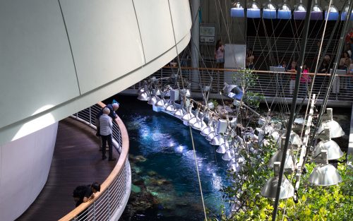 a photo of aquarium and planetarium dome at the california academy of sciences, golden gate park, san francisco, california