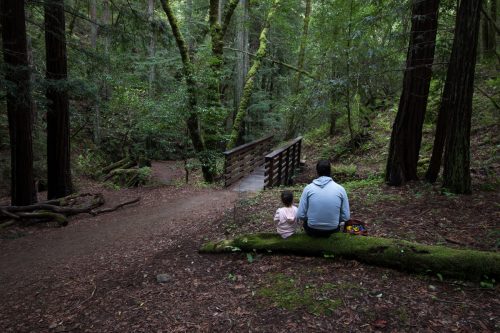 stop for a picnic at a bridge on dawn falls trail, baltimore canyon open space preserve, larkspur, marin county, california
