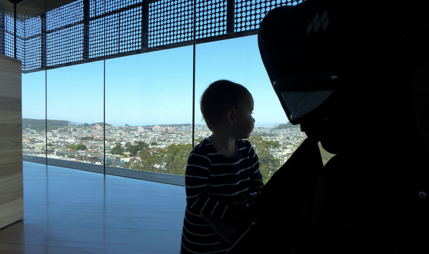 deyoung_tower
