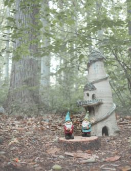 elves and gnome village at tyler arboretum, media, Pennsylvania