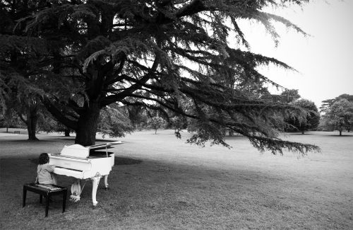 white grand piano at flower piano, san francisco botanical gardens, california