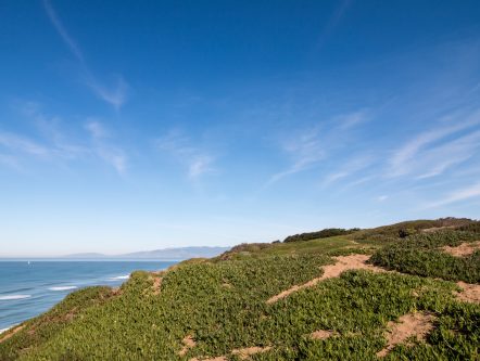 sand dunes and blue sky at fort funston, san francisco california