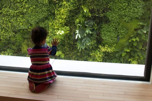 child looking out at sfmoma's living green wall