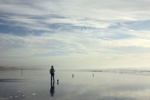 california, san francisco, ocean beach, sky, man, dog, reflection, pacific ocean, fog