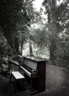 upright piano at the san francisco botanical garden, san francisco, california