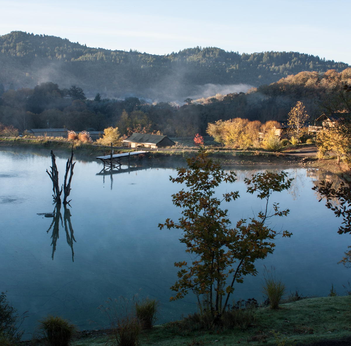 morning mist over lake and autumn trees at safari west, sonoma county, california